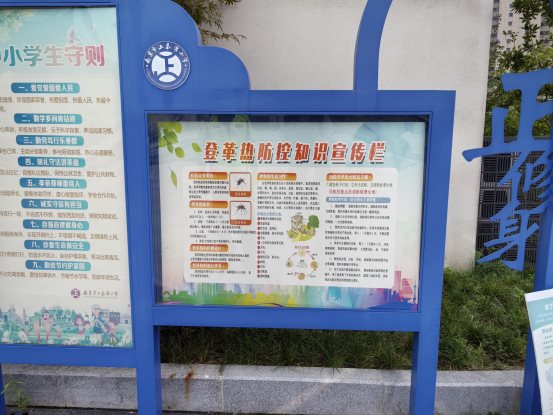 登革热